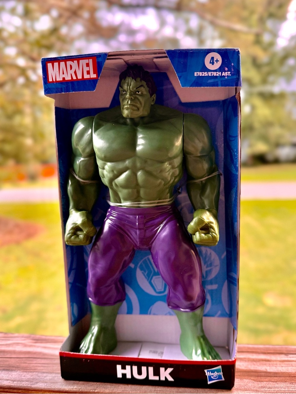 Hasbro Marvel Hulk Action Figure - Green & Purple